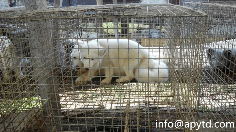 Fox cages galfan wire welded wire mesh panel