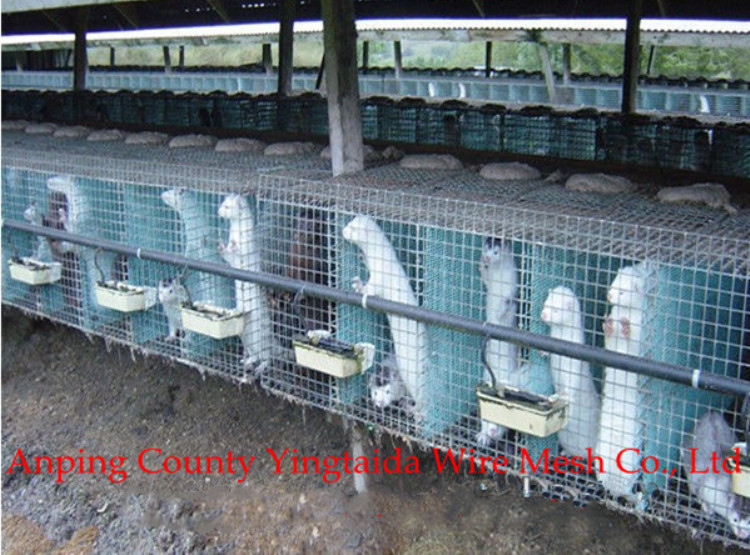 welded galfan mink cages wire mesh