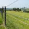 High Tensile Twist Double Barbed Wire Safety Fencing